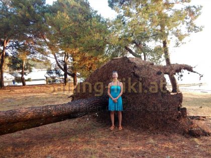 Astrid mit entwurzeltem Baum